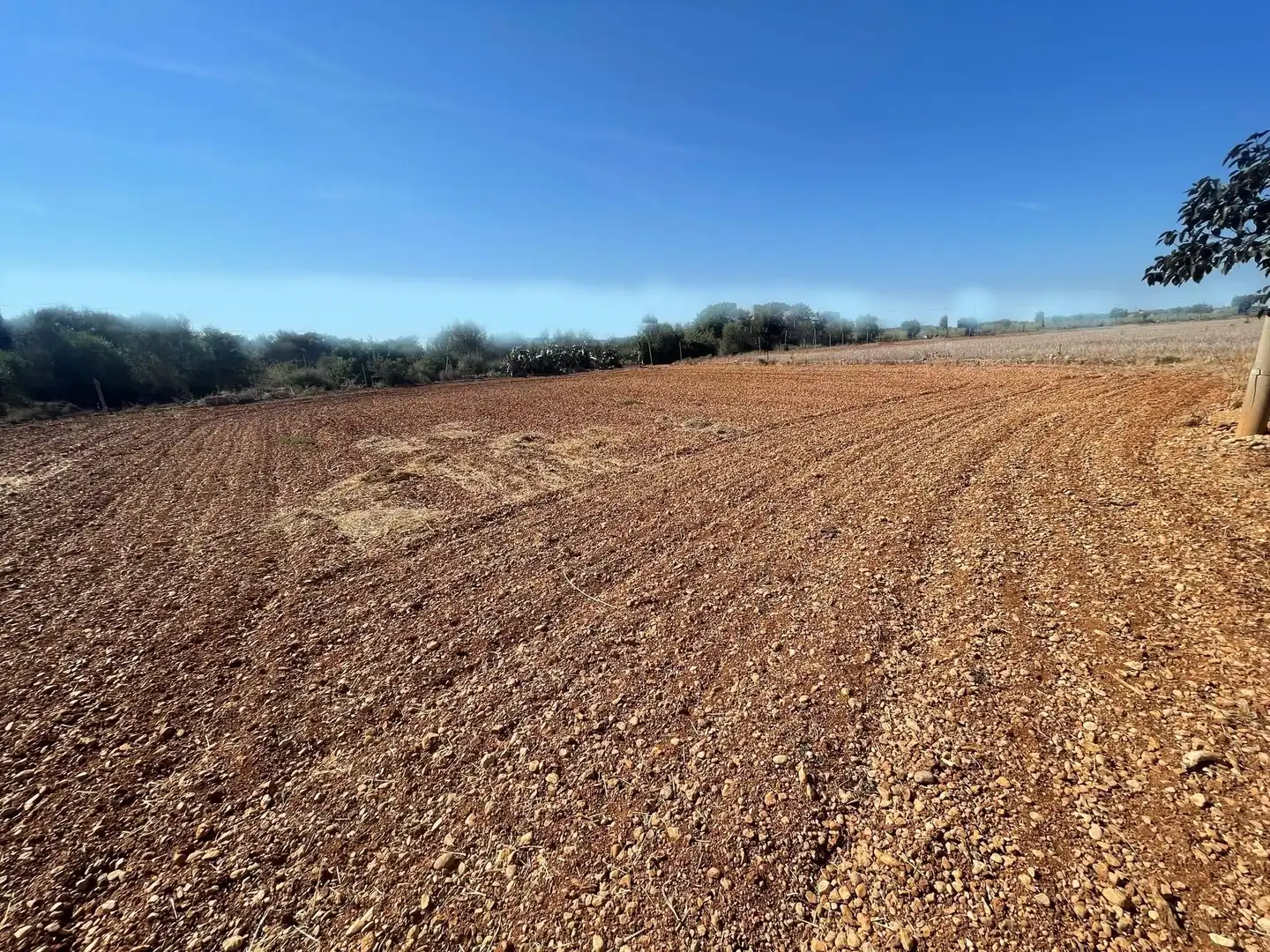 Finca rústica en venta en Muro con Jardín privado, Terraza y Trastero
