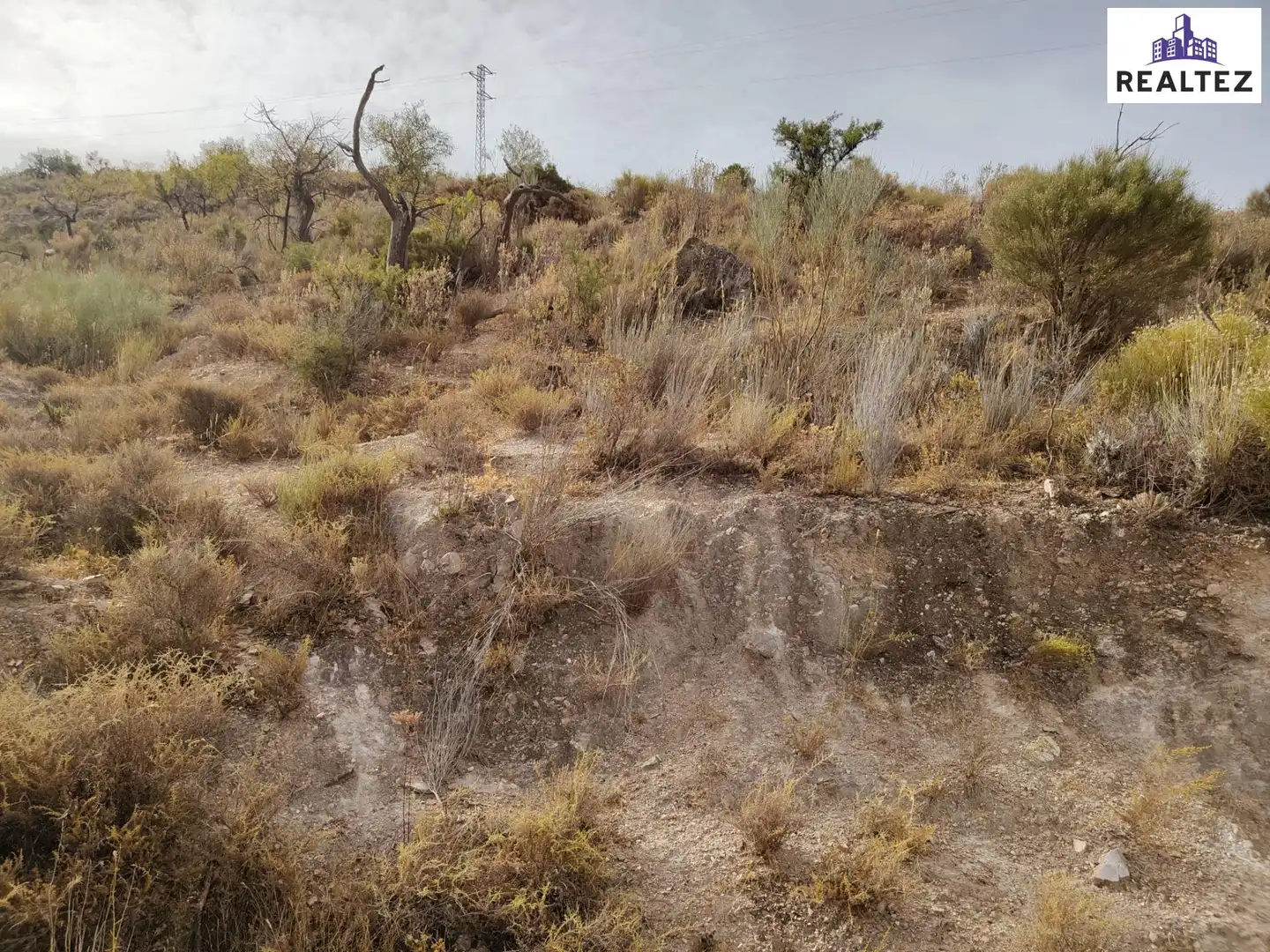 Terrain rustique à vendre à Alcolea, imagen 15