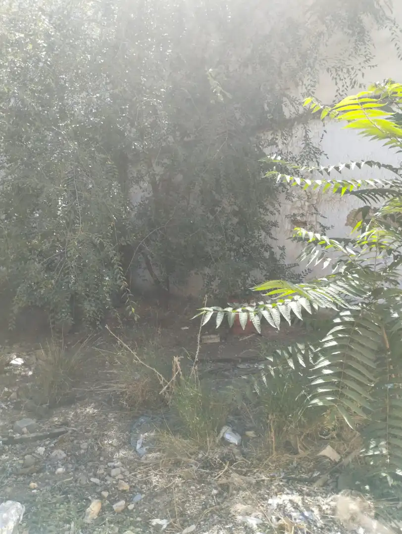 Casa con jardín en venta en Calle Campomanes 58, imagen 18
