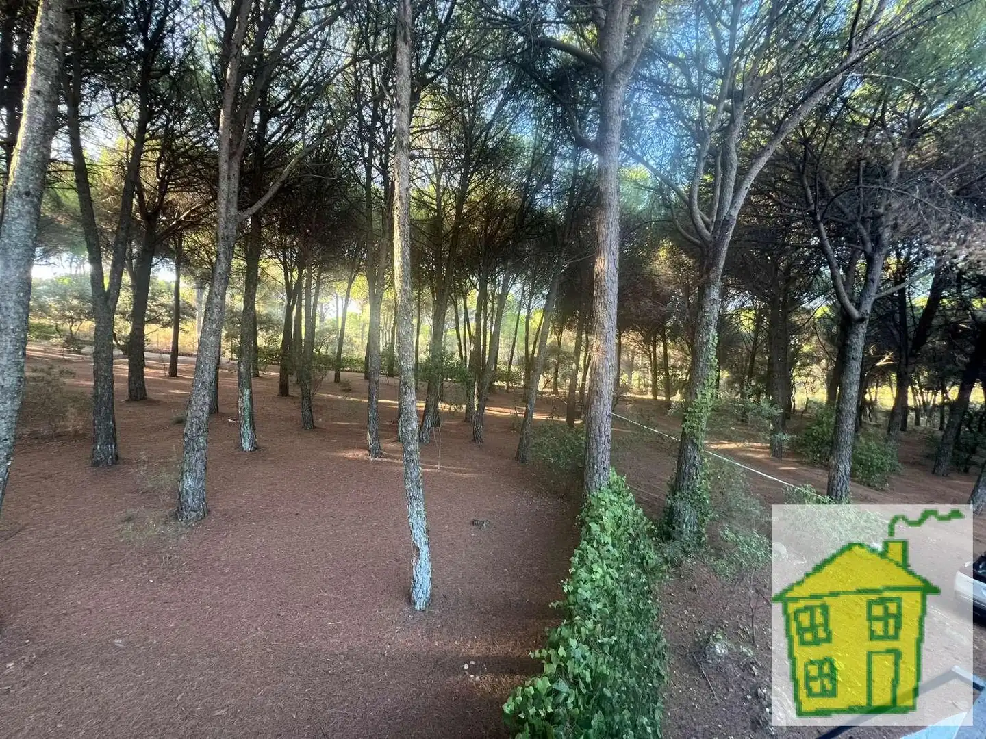 Country house with pool for sale in Andújar, imagen 6