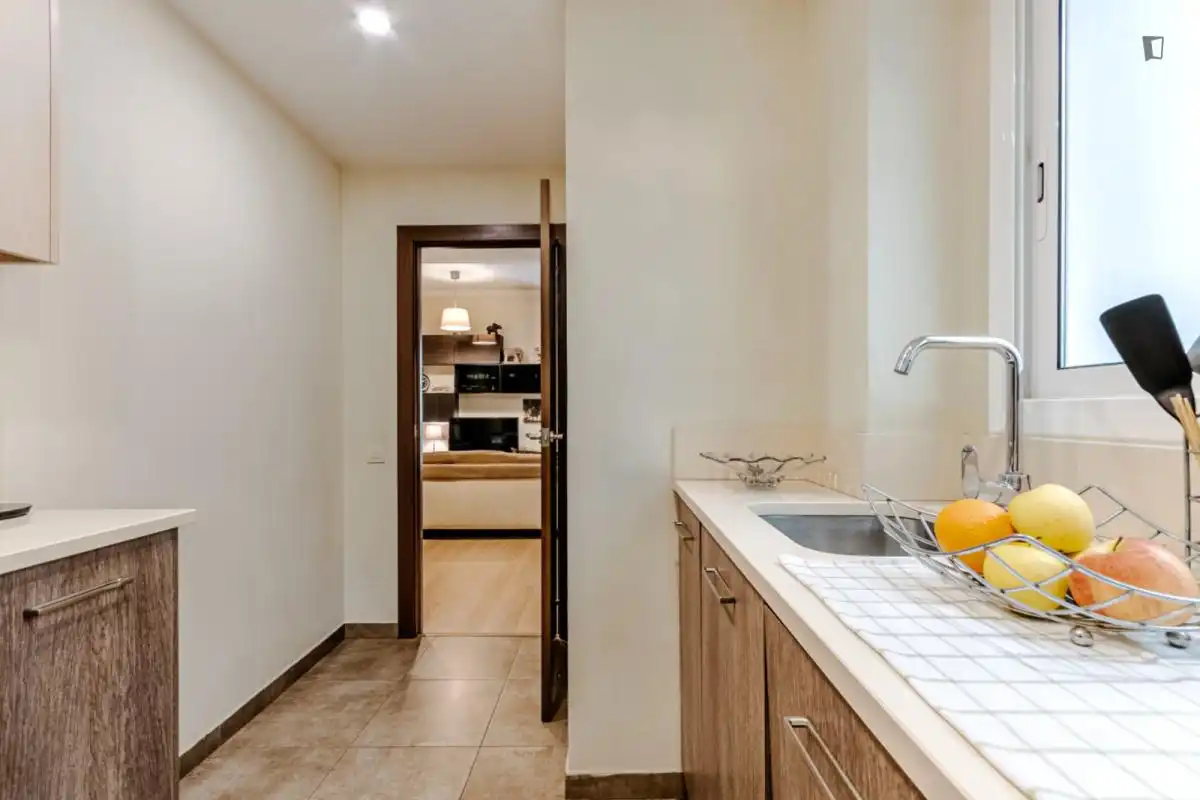 Cuina de Apartament per a compartir en Barcelona amb Aire condicionat, Calefacció i Moblat