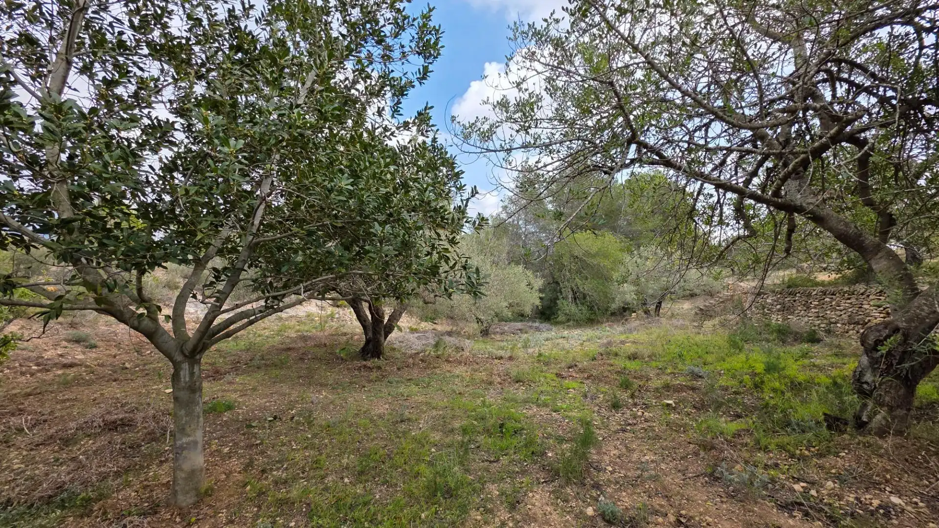 Maison rustique avec jardin à vendre à L'Ametlla de Mar pueblo, imagen 25