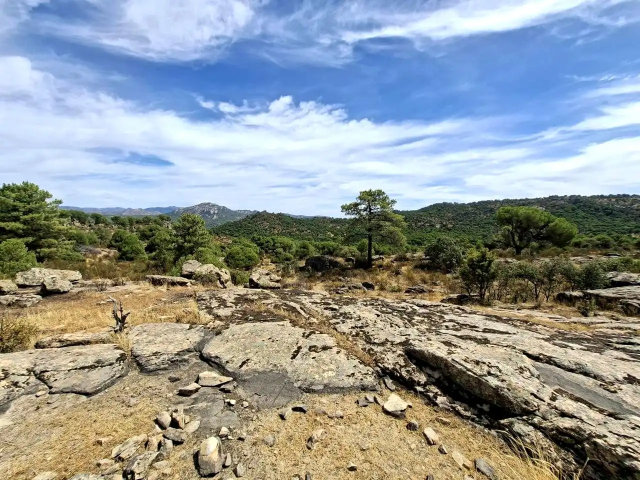 Terreny rústic en venda a Navahoncil, imagen 3