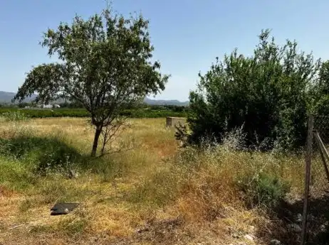 Rural land for sale in Partida Lloma del Mas, imagen 6
