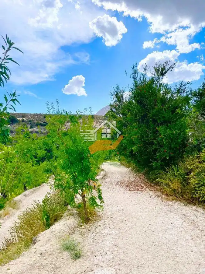 Lands and plots for sale in Vélez-Blanco, imagen 9