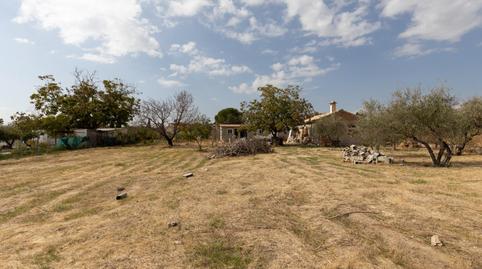 Foto 5 de Finca rústica en venta en Avenida Avenida de Secanillo, Peligros, Granada