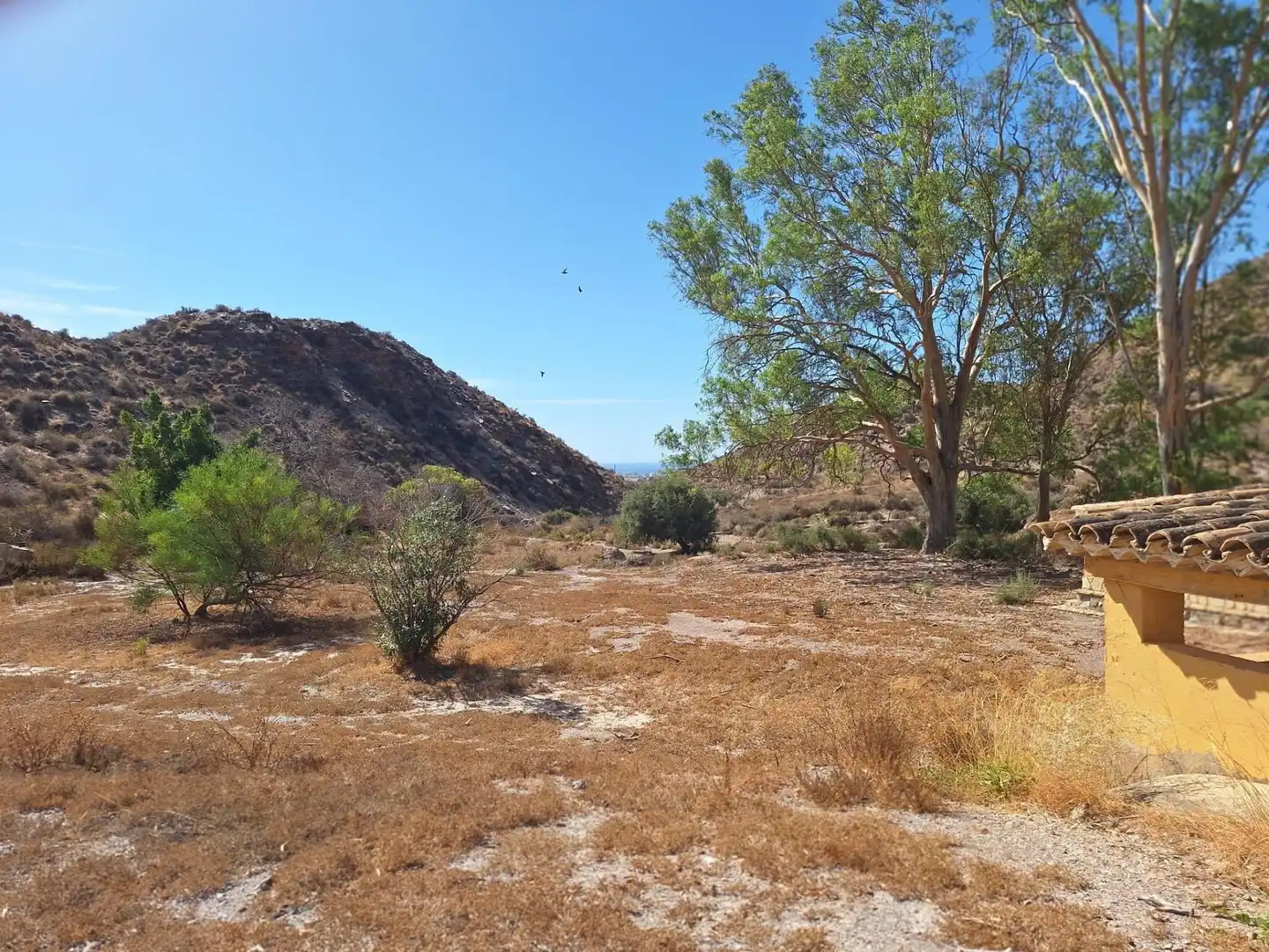 Casa rústica amb terrassa en venda a Las Majadas-Las Molinetas-Labradorcico, imagen 24