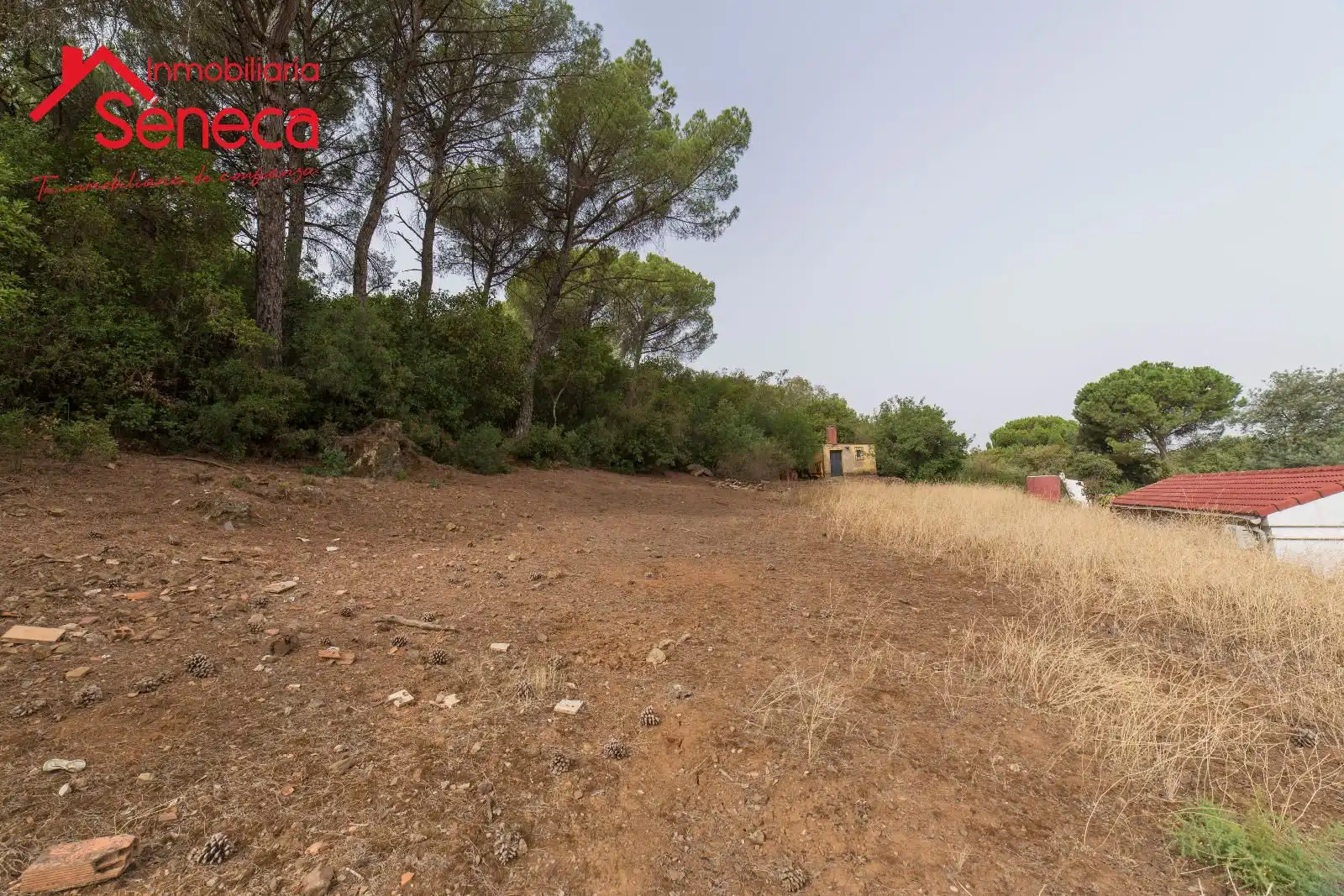 Casa o xalet en venda a Las Jaras