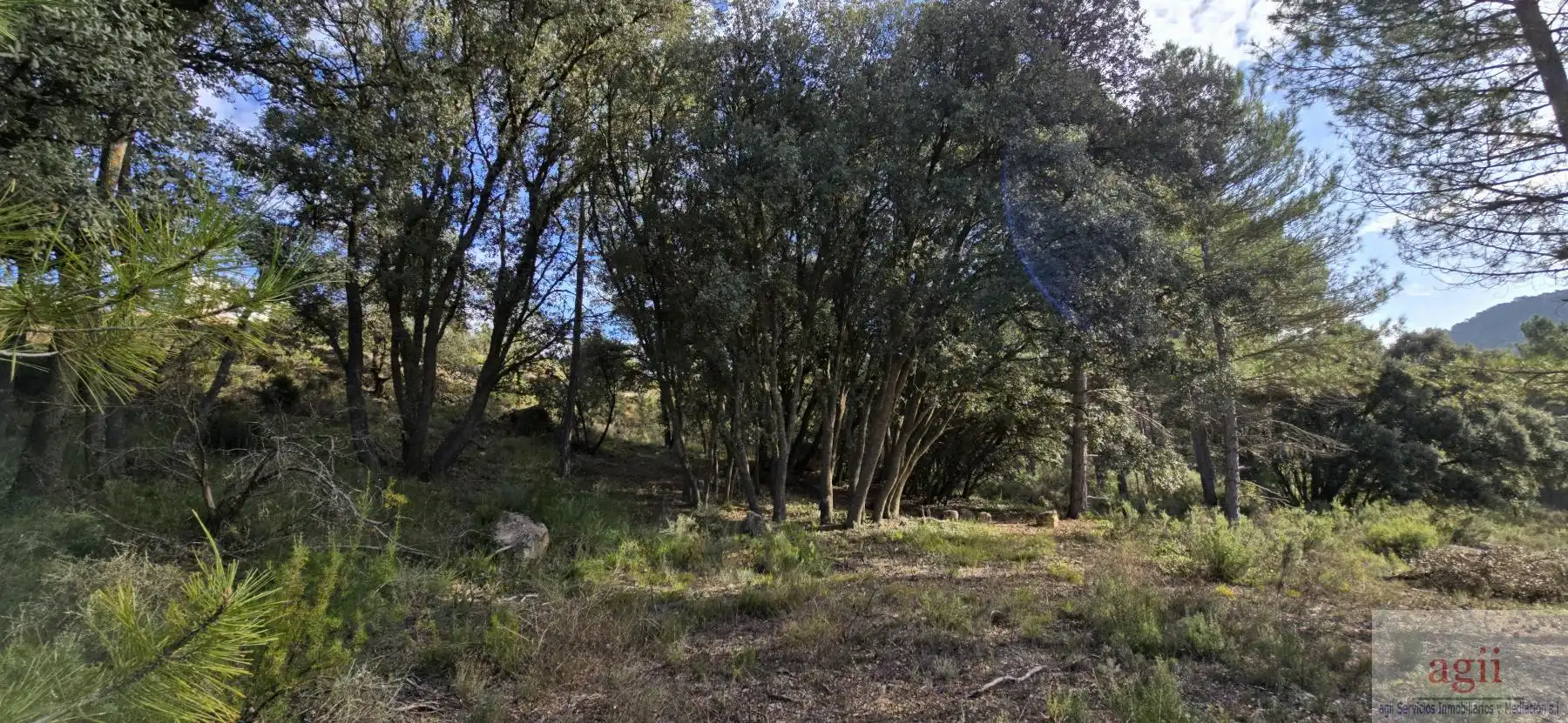 Terrain résidentiel à vendre à Trillo