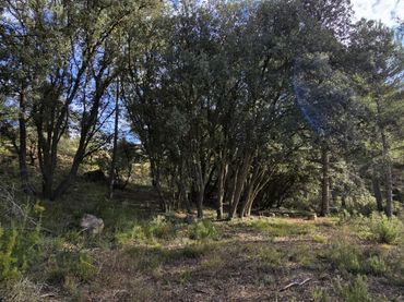 Terreno residencial en venta en Trillo