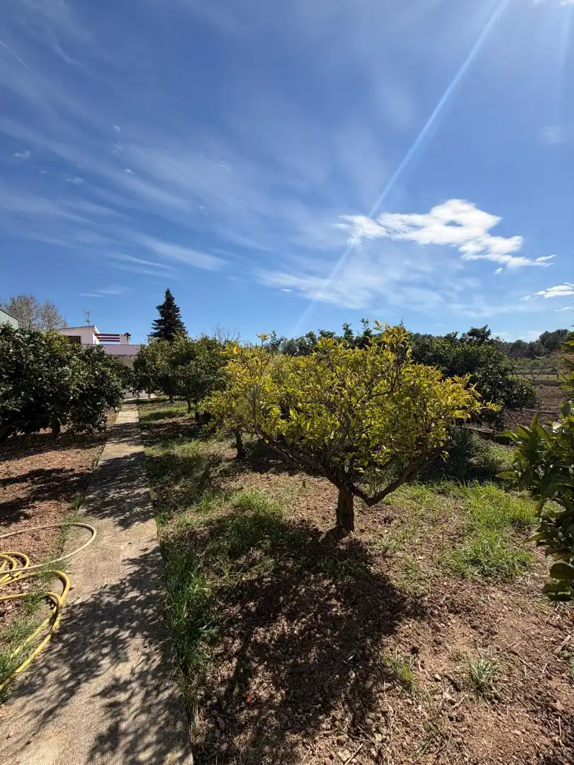 Casa o xalet en venda en Ulldecona amb Jardí privat i Terrassa