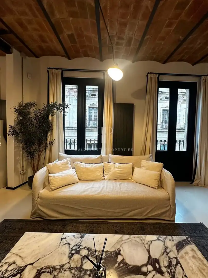 Appartamento con terrazza in affitto a El Barri Gòtic, imagen 46