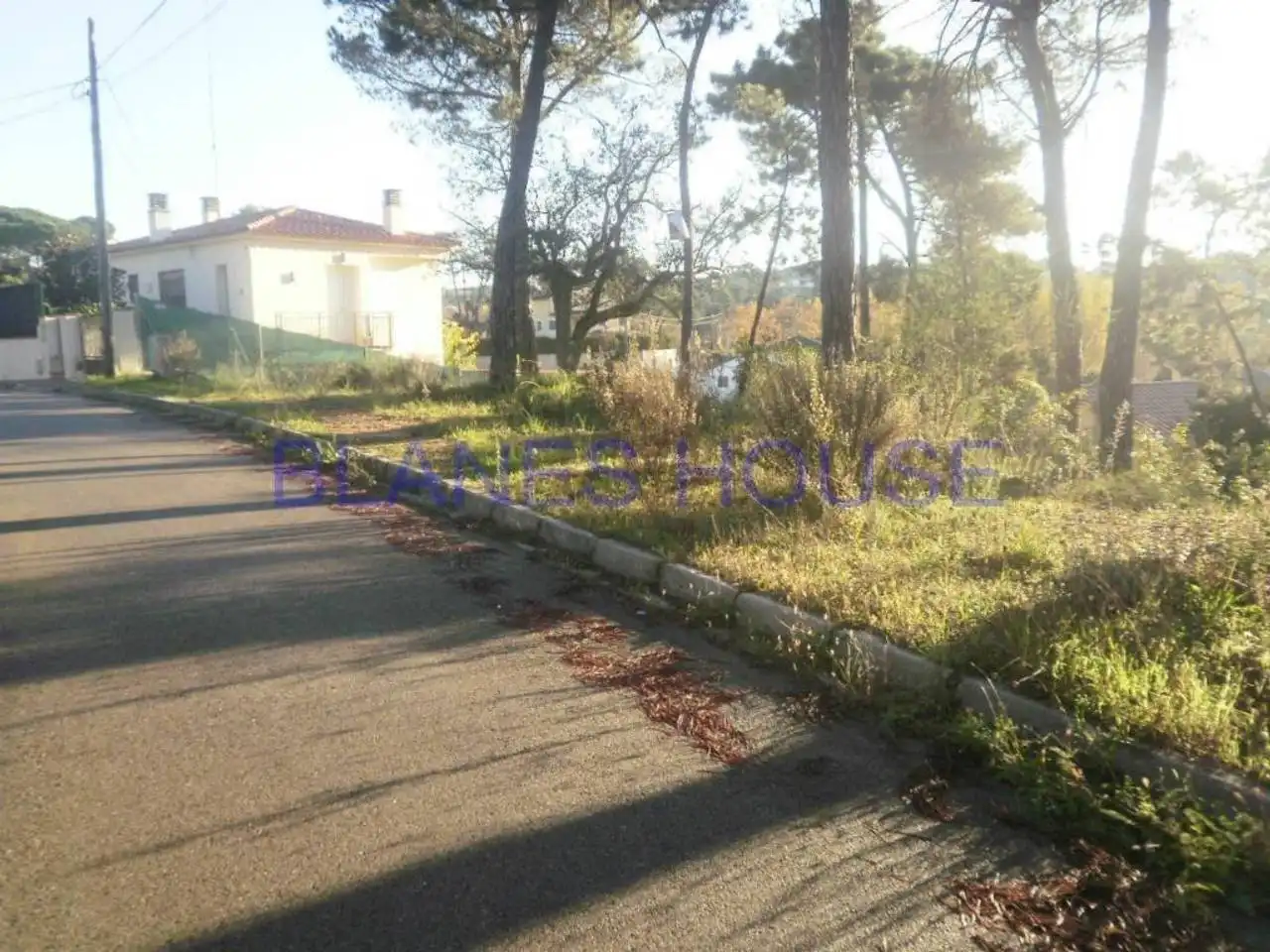 Terreno residencial en venta en Residencial Park, imagen 4