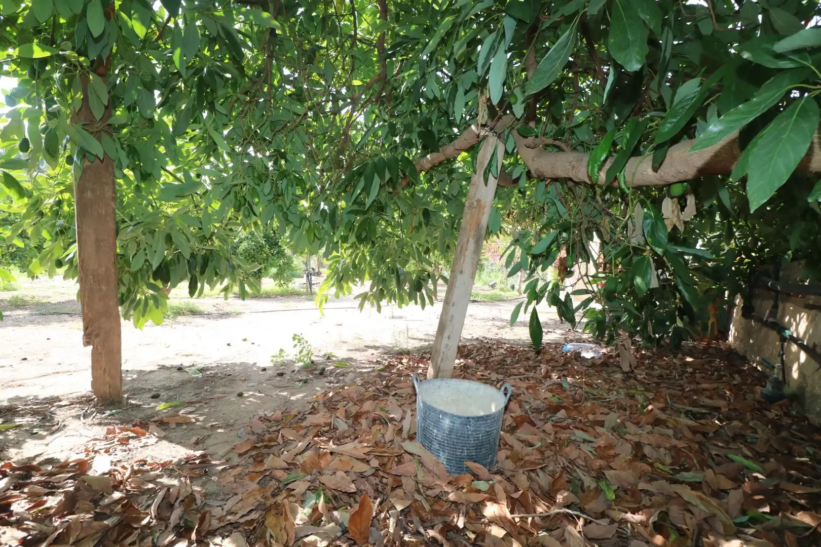 Jardín de Finca rústica en venta en Gilet