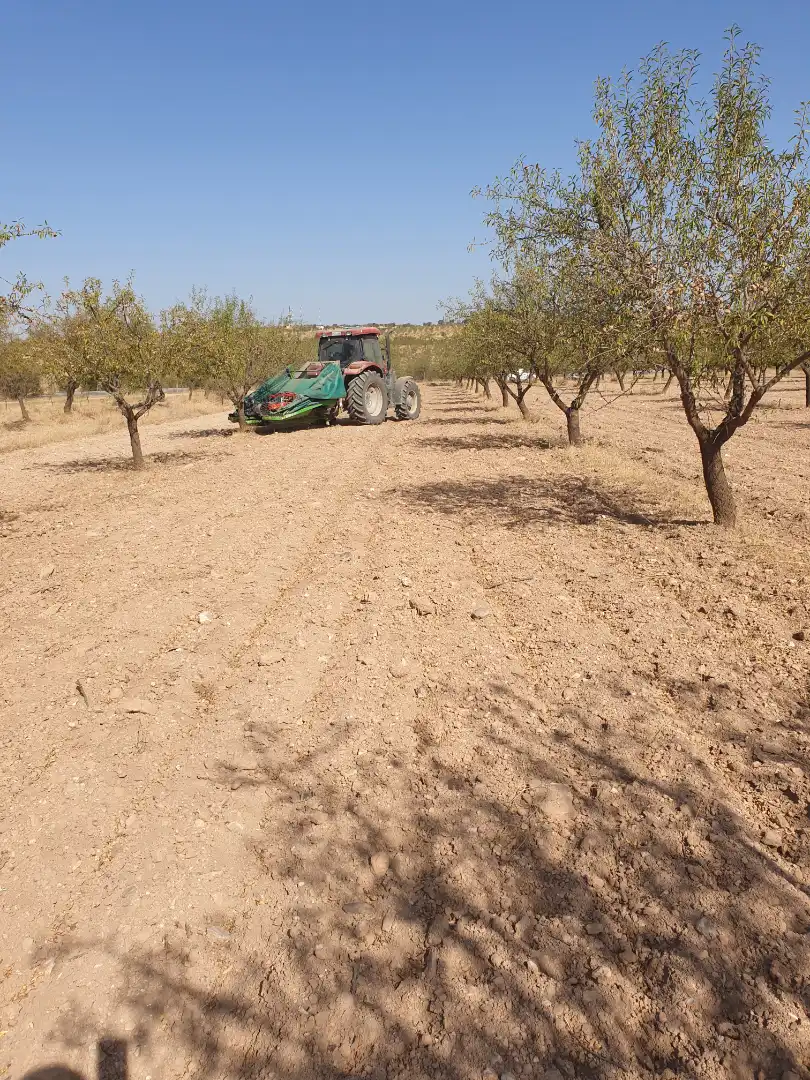 Terreni e lotti in vendita a Guadix, imagen 4
