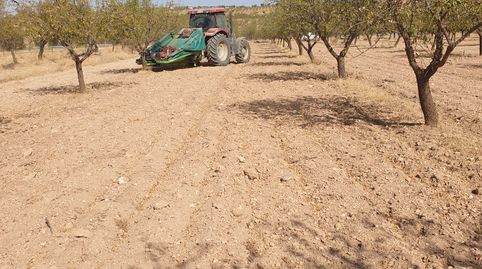 VENTA DE FINCA DE ALMENDROS T-M- GOR -GRANADA, imagen 4