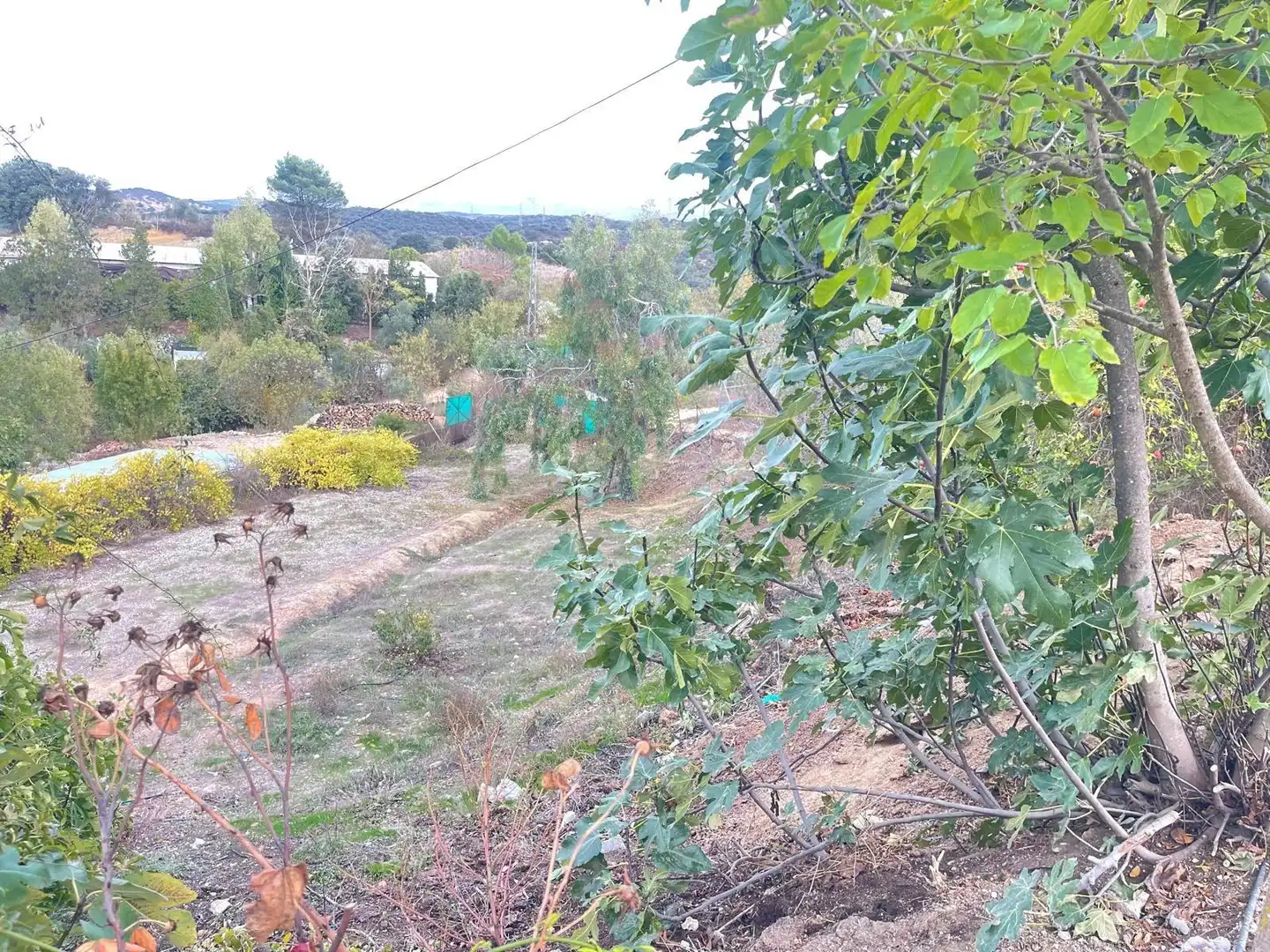 Terreni e lotti in vendita a Archidona, imagen 19