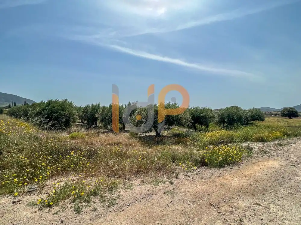 Terrain rustique à vendre à Huércal-Overa, imagen 9