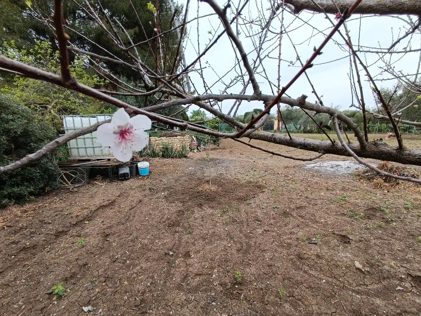 Terreni e lotti in vendita a Villamartín, imagen 17