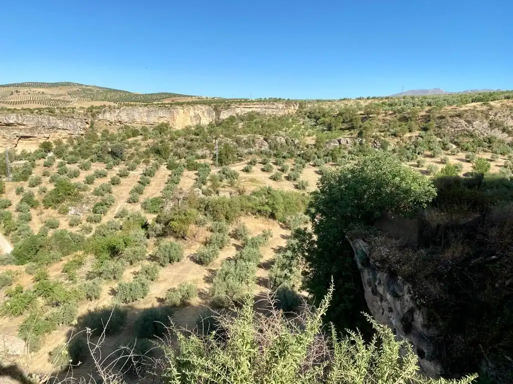 Terreni e lotti in vendita a Alhama de Granada, imagen 4