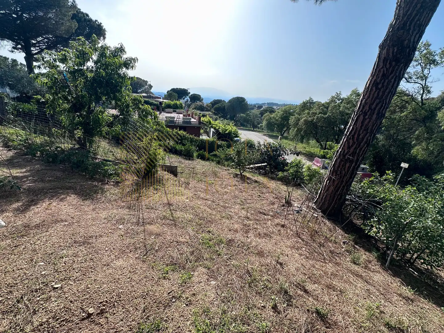 Wohnbaugrundstück zum Verkauf in Terrafortuna - Puig Ventós, imagen 5