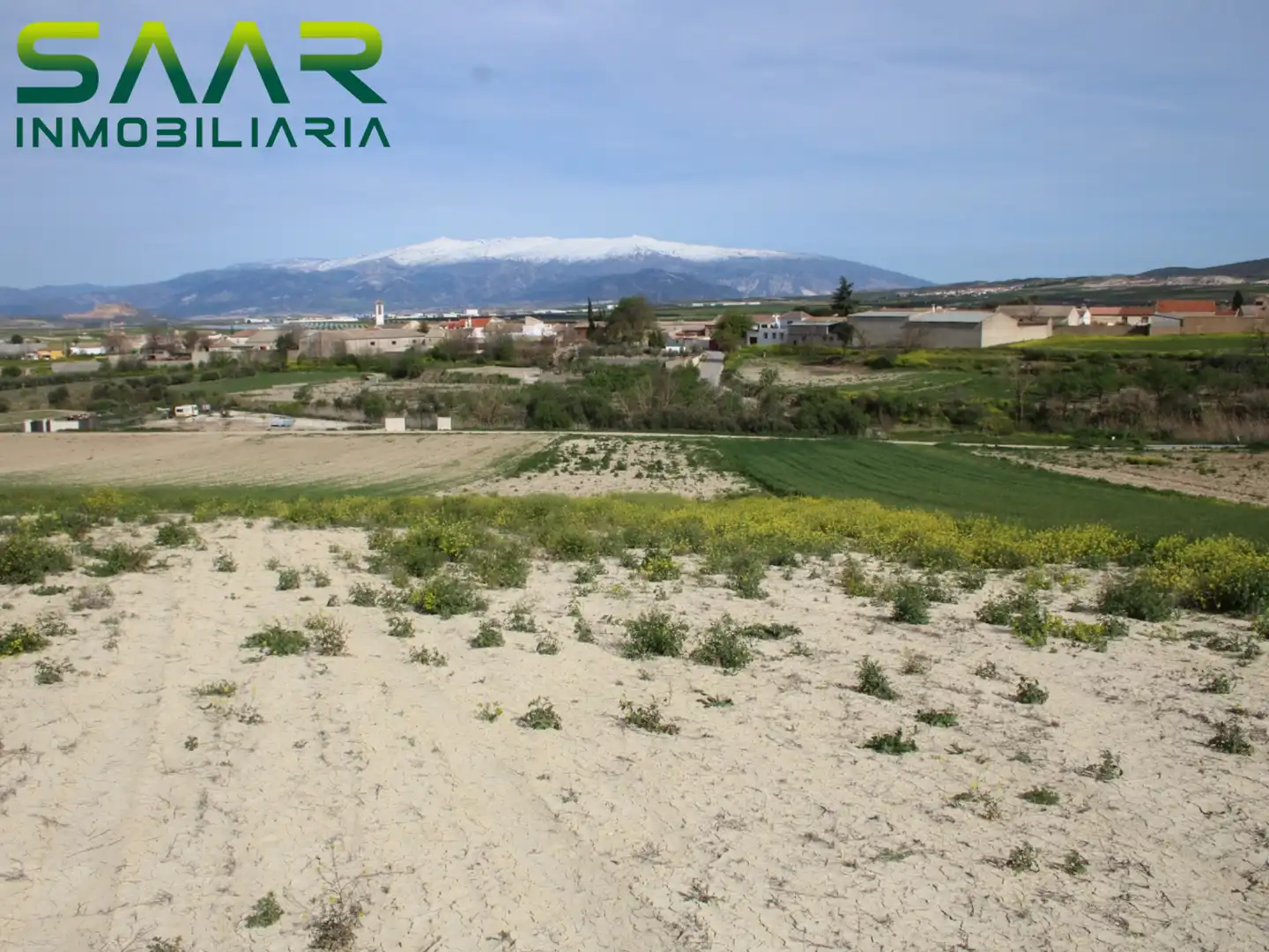 Terreno rústico en venta en Ventas de Huelma