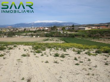 Terreno rústico en venta en Ventas de Huelma