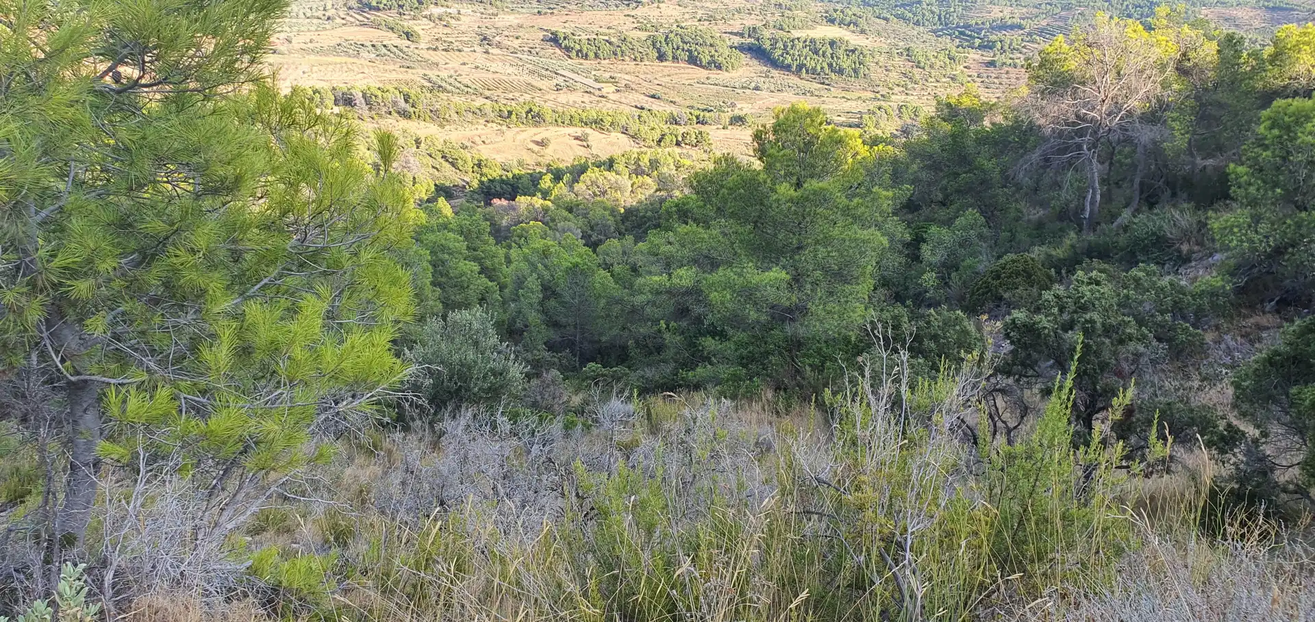 Wohnbaugrundstück zum Verkauf in El Pinell de Brai, imagen 3