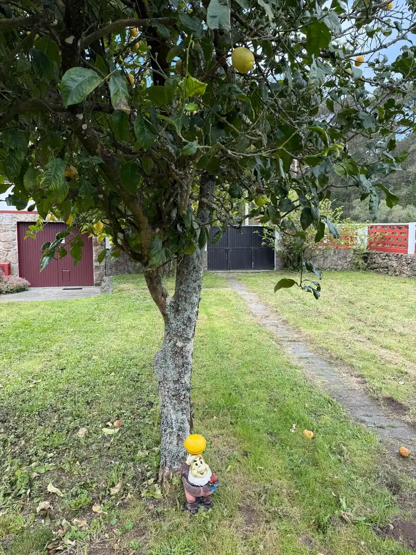 Jardín de Casa o chalet en venta en Muxía con Calefacción y Jardín privado