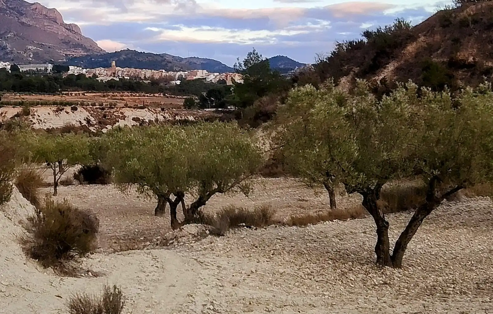 Terreno rustico in vendita a N/A, imagen 23