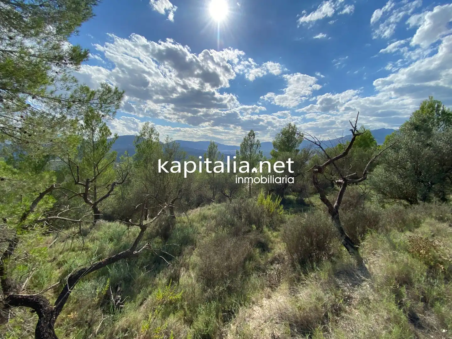 Terreno en venta en Millena