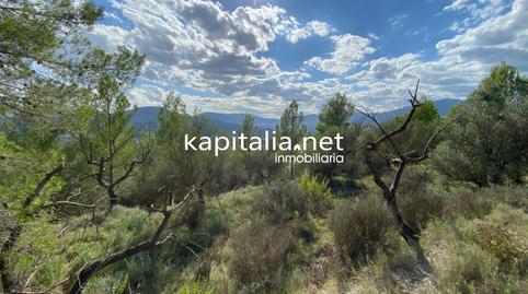 Photo 4 of Land for sale in Millena, Alicante