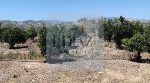 Foto 3 von Fabrikhallen zum Verkauf in Coín, Málaga