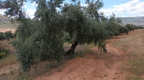 Photo 3 of Land for sale in Calle Canalejas, 27, Centro ciudad, Linares