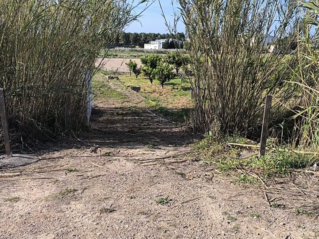 Terreno en venta en Benijófar
