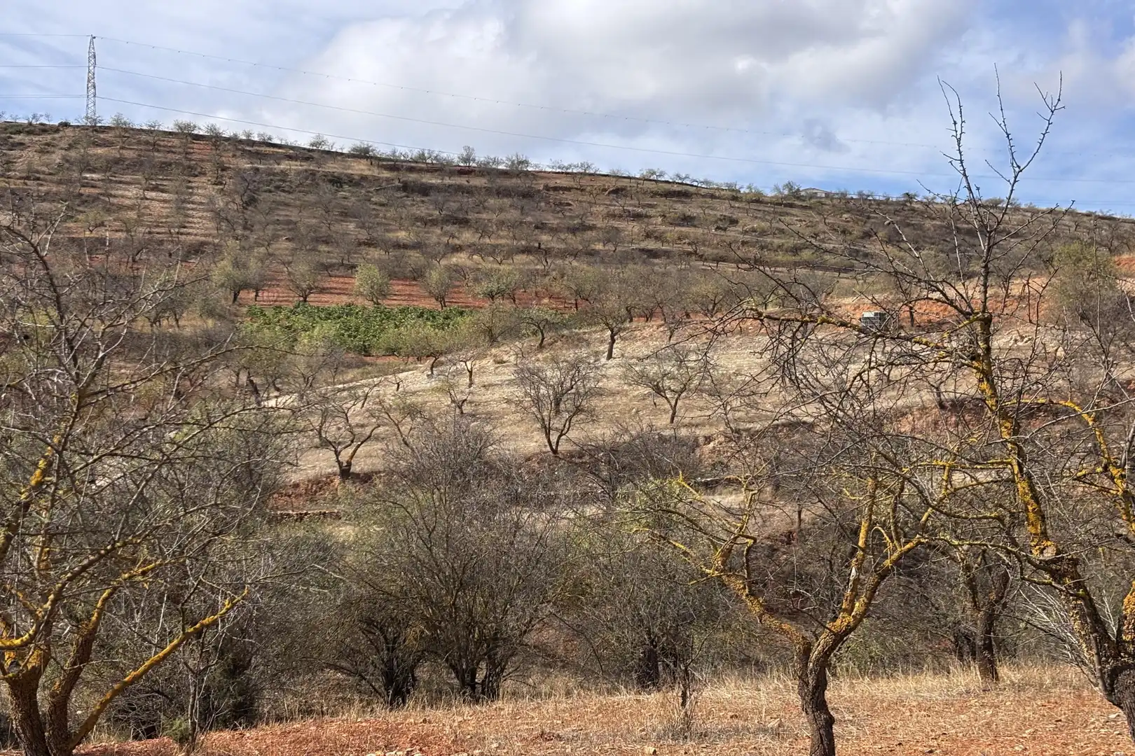 Rural land for sale in Nigüelas, imagen 10