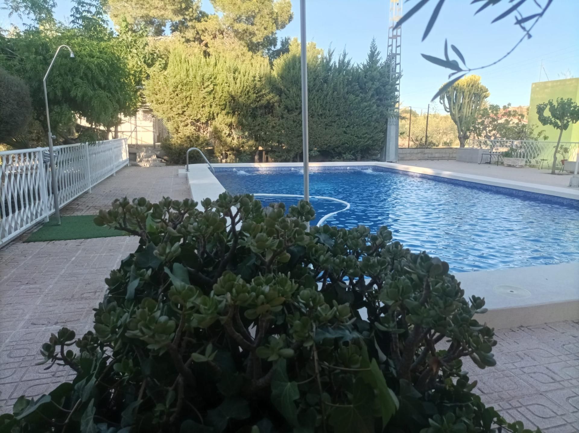 Piscina de Casa o xalet en venda en Elche / Elx