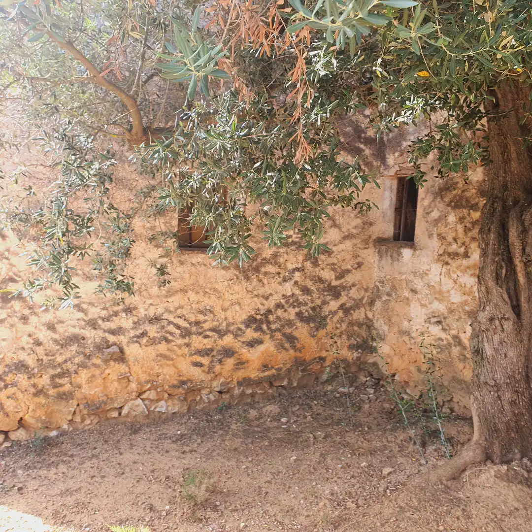 Casa in vendita a Roquetes, imagen 4