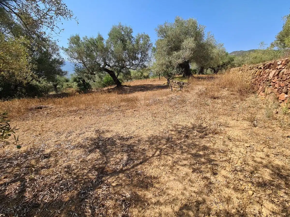 Terreno rustico in vendita a Freginals, imagen 5