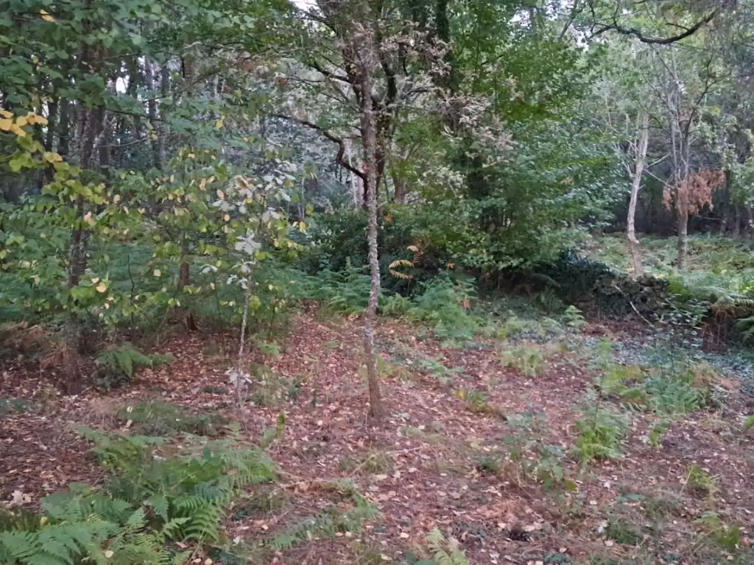 Land for sale in Paderne de Allariz