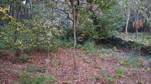 Foto 3 de Terreno en venta en Ou-102, 4, Paderne de Allariz, Ourense