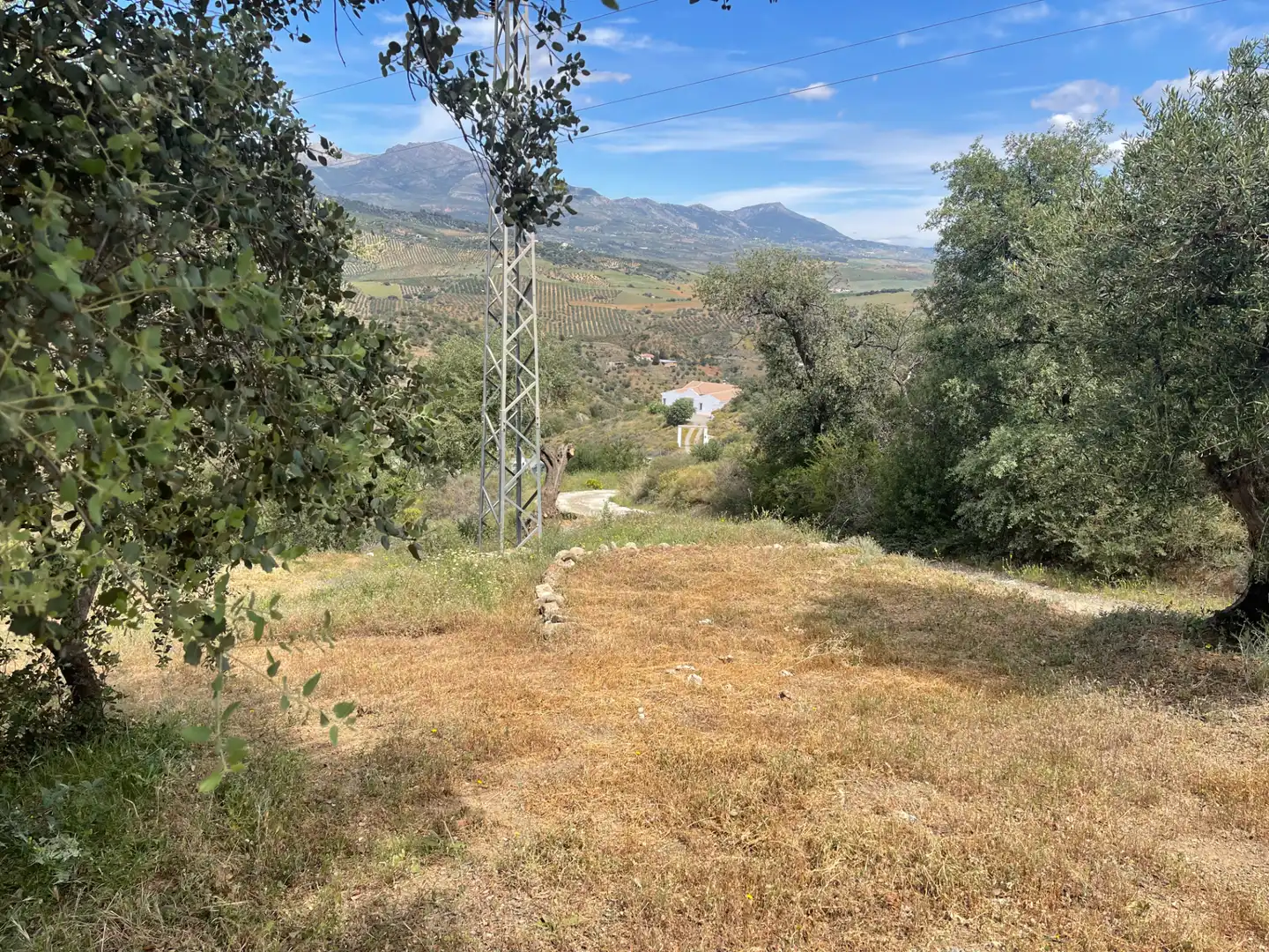 Terreno en venta en Guaro