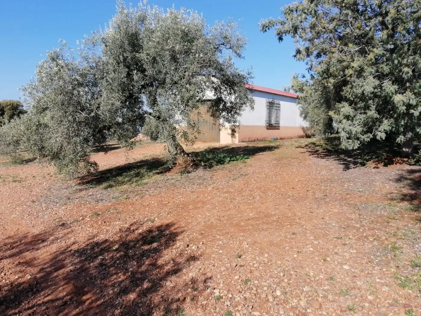 Casa amb jardí en venda a Montoro, imagen 54