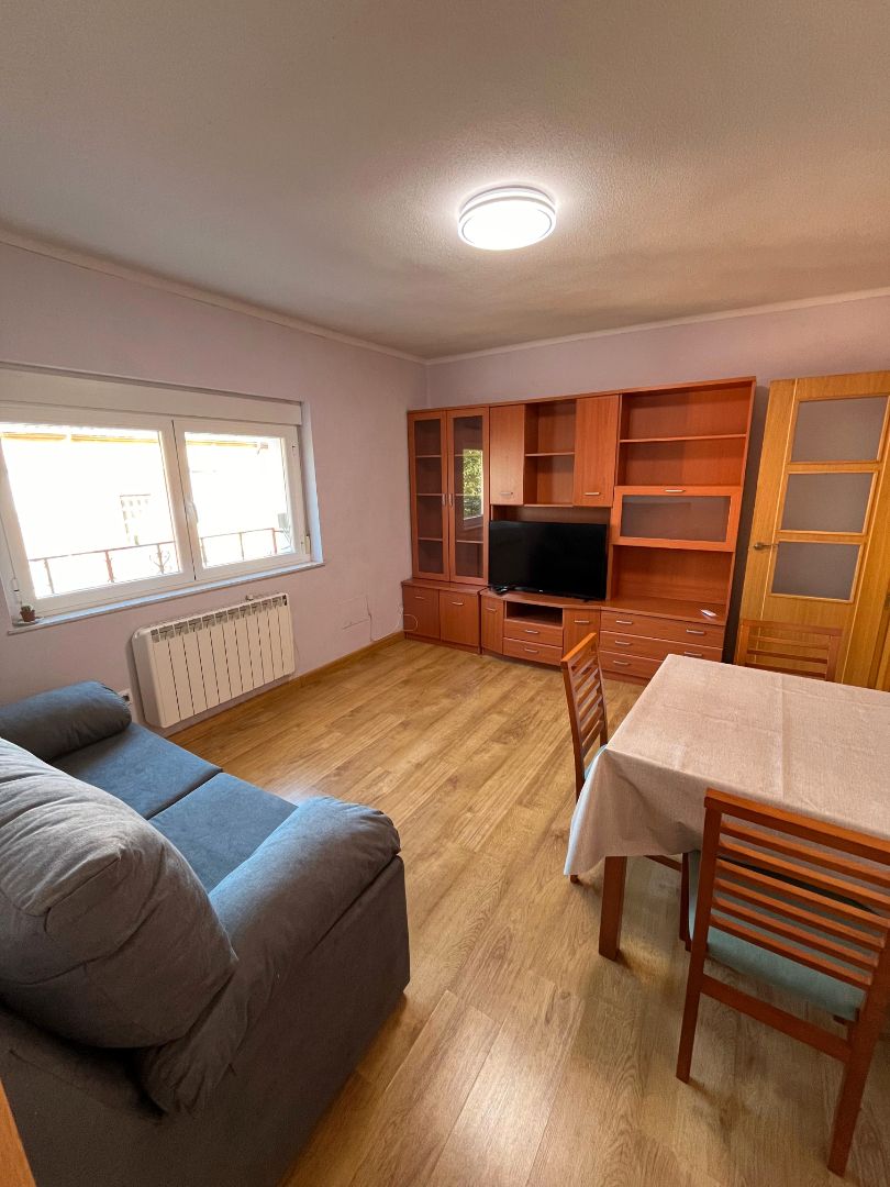 Sala d'estar de Pis de lloguer en Salamanca Capital amb Calefacció, Moblat i Forn