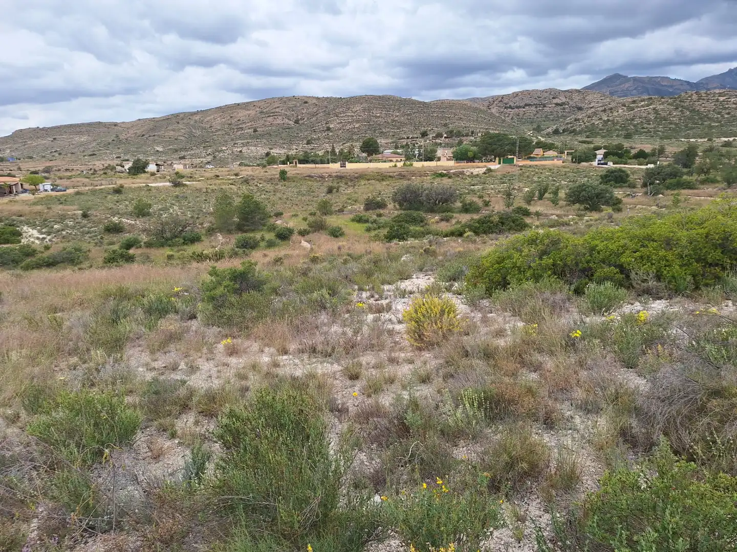 Terreny en venda en Alicante / Alacant