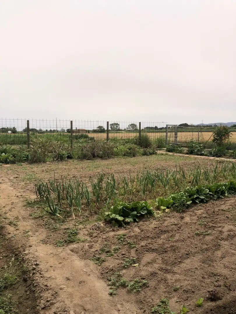 Rustikales Grundstück zum Verkauf in Camí dels Coixins 192, imagen 7