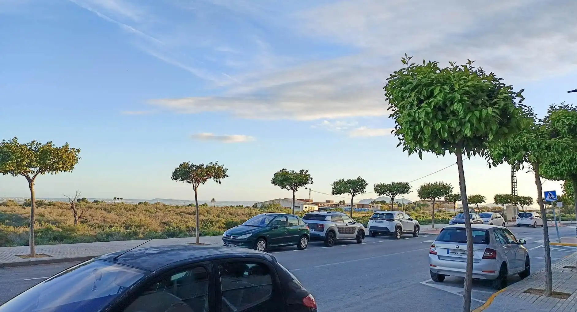 Local comercial en venta en Crevillent, imagen 13