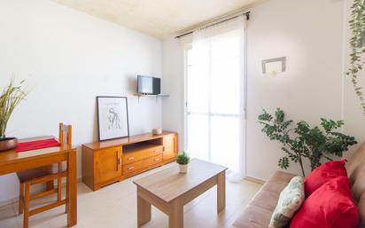 Living room of Flat for sale in Conil de la Frontera  with Storage room and Balcony