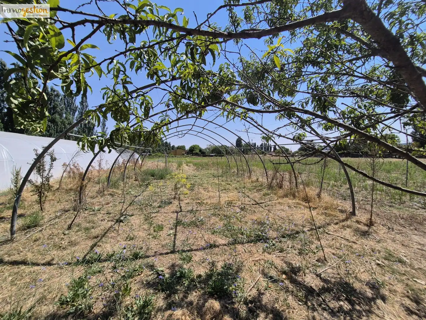 Fabrikhallen zum Verkauf in Tudela de Duero