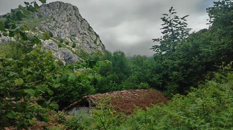 Foto 4 de Finca rústica en venta en Caso, Asturias